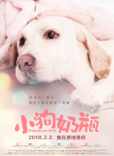 斗罗大陆手游最新版本评测：值得体验吗？